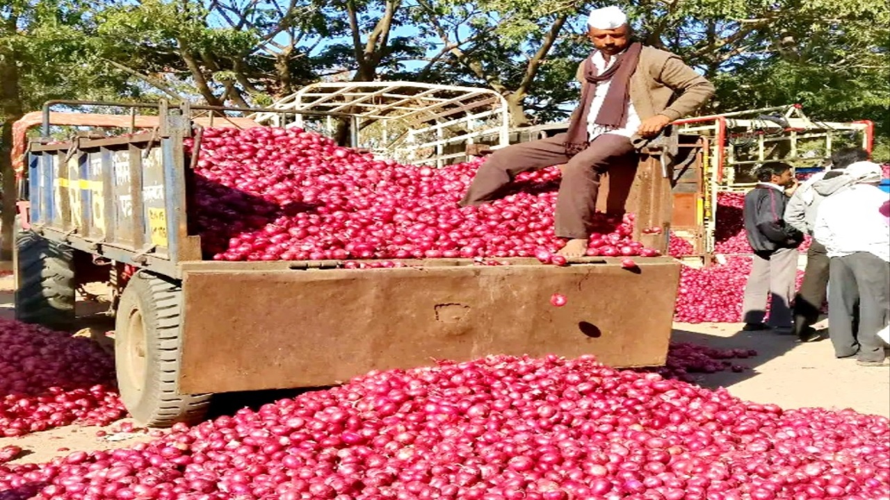 निर्यातबंदी हटाने के बाद महाराष्ट्र में प्याज के दाम बना रहे रिकॉर्ड