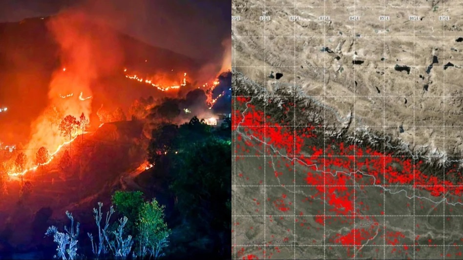 Nainital Forest Fires : धधक रहे नैनीताल के जंगल, आखिर क्यों भयावह होती जा रही उत्तराखंड के जंगलों की आग?