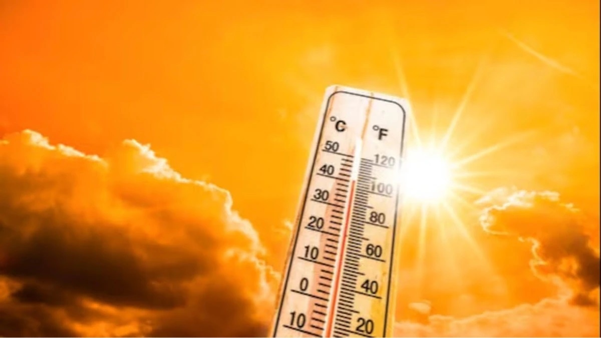 Heat Wave Death: जानलेवा साबित हो रही प्रचंड लू, यूपी-बिहार में 200 से ज्‍यादा लोगों की मौत; ओडिशा में एक दिन में 19 ने तोड़ा दम